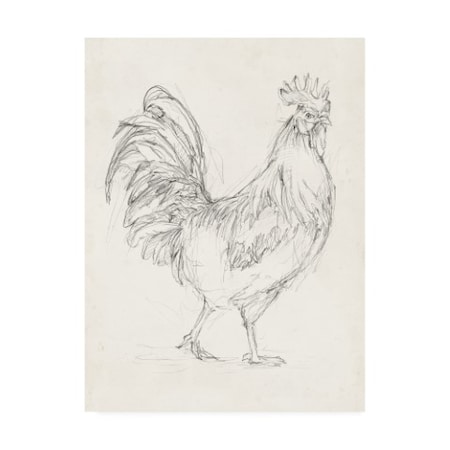 Ethan Harper 'Rooster Sketch I' Canvas Art,14x19